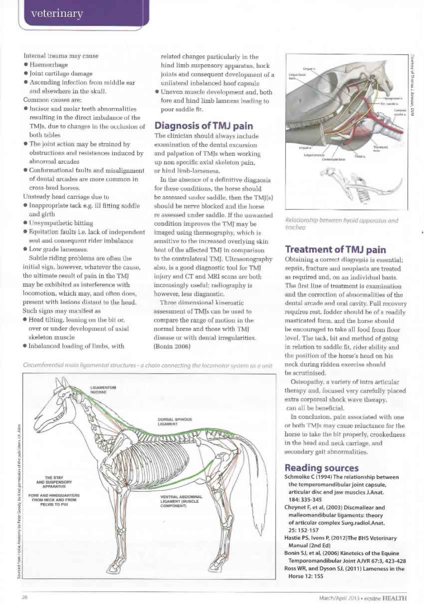 Temporomandibular Joint Disorders & Equine Gait Nixon Equine Vet